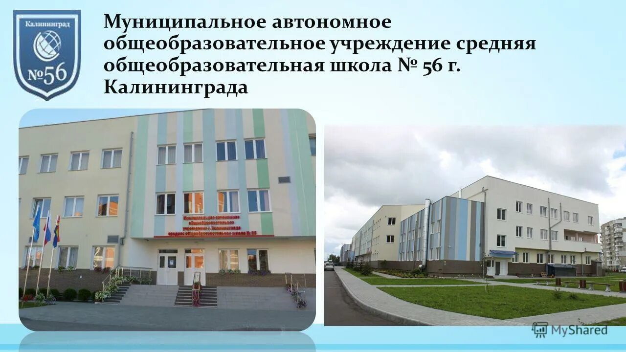 школа 56 маоу сош. 56 школа калининград. директор 43 школы калининград. 40 школа калининград. школа 56 1 корпус калининград.