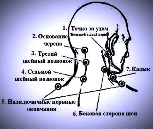 Болезненные точки на голове. Точки на шее человека. Болевые точки на шее. Болевые точки на шее человека. Болевые точки на голове человека.