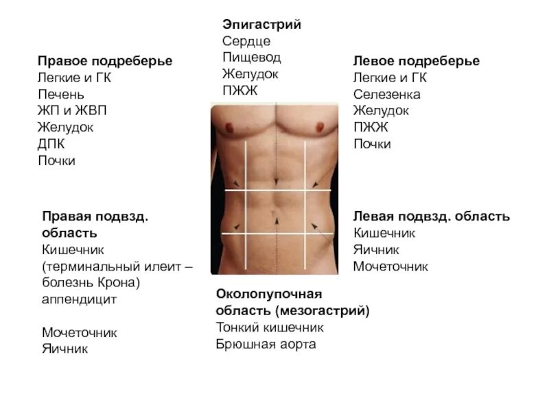 Острая резкая боль в правом подреберье сбоку. Боль между ребер с левой стороны сбоку. Болит в правом подреберье сбоку. Болит левый бок между ребрами сбоку.