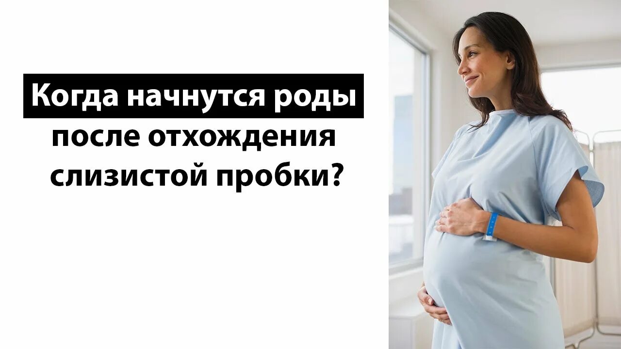 Схватки без отхождения. Слизистая пробка отхождение. Отошла пробка при родах. Слизистая пробка отходит у первородящих. Отхождение пробки у беременной.