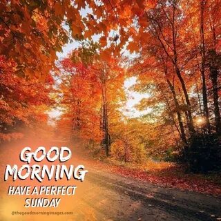 Morning falls