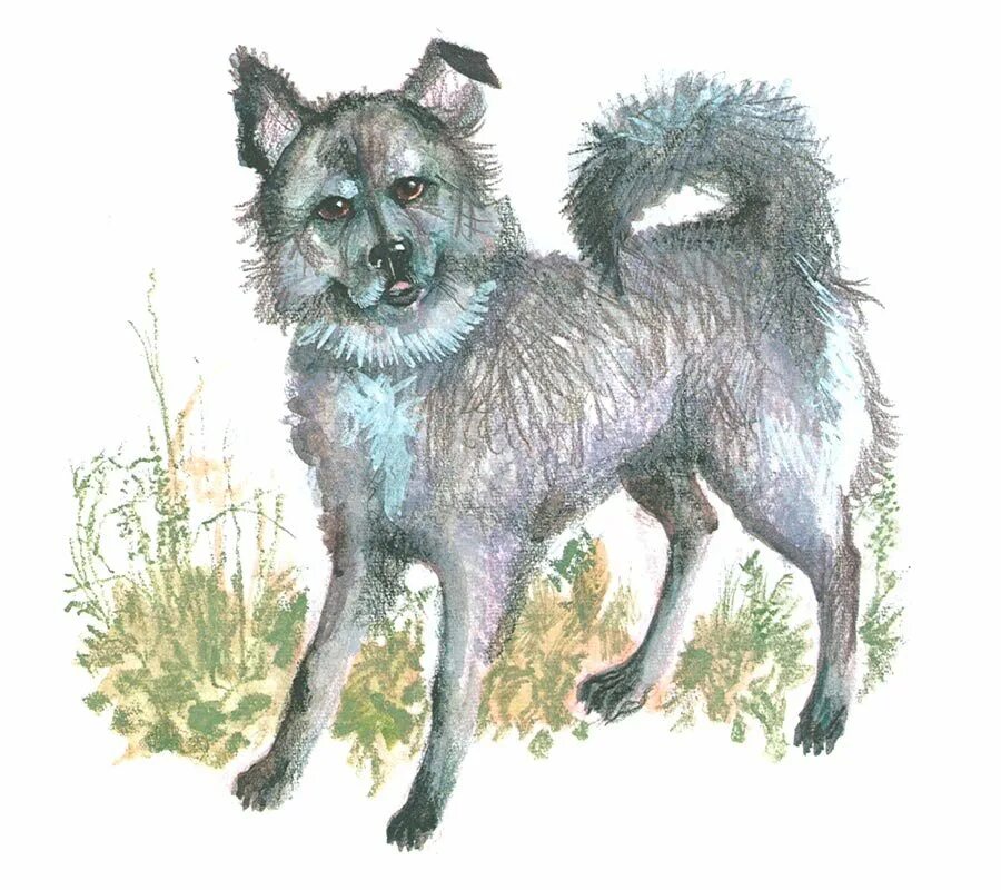 Малька провинилась собака. Белов в. Малька из рассказа белова. Собака малька. Василия белова малька провинилась.