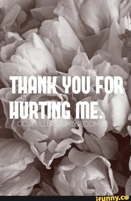 You are own my all. You hurt my feelings.