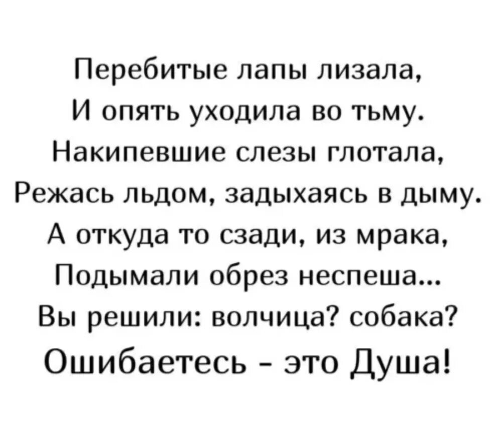 Чем вы перебиваете боль квиз. Стих перебитые лапы лизала и опять уходила во тьму. Перебитые лапы лизала. Перебитые лапы лизала стих. Стихи перебила лапы.