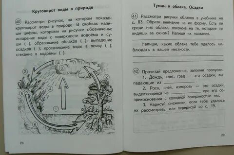 Рассмотри фотографию напиши