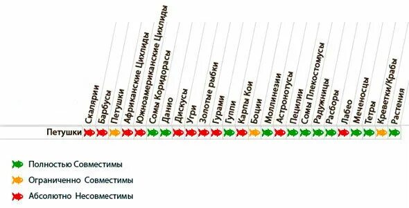 Женщины рыбы совместимость с мужчинами. Петушки рыбки совместимость. Аквариумные рыбки совместимость видов таблица. Петушок рыба совместимость. Петушки аквариумные совместимость.