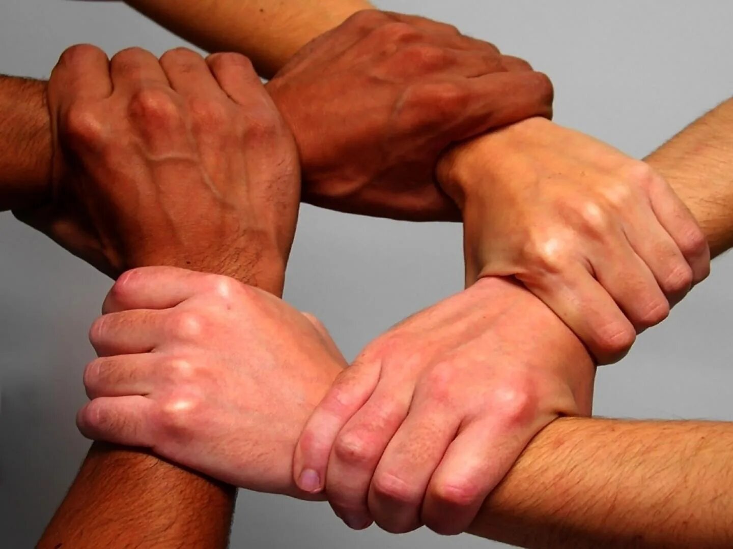Рукопожатие было не долгое но крепкое. День сотрудничества Юг-Юг организации Объединенных наций. День сотрудничества Юг-Юг ООН 12 сентября. Дружеское рукопожатие. Крепкое рукопожатие.