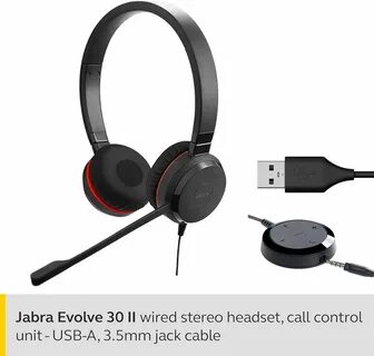 Evolve 20 ms mono