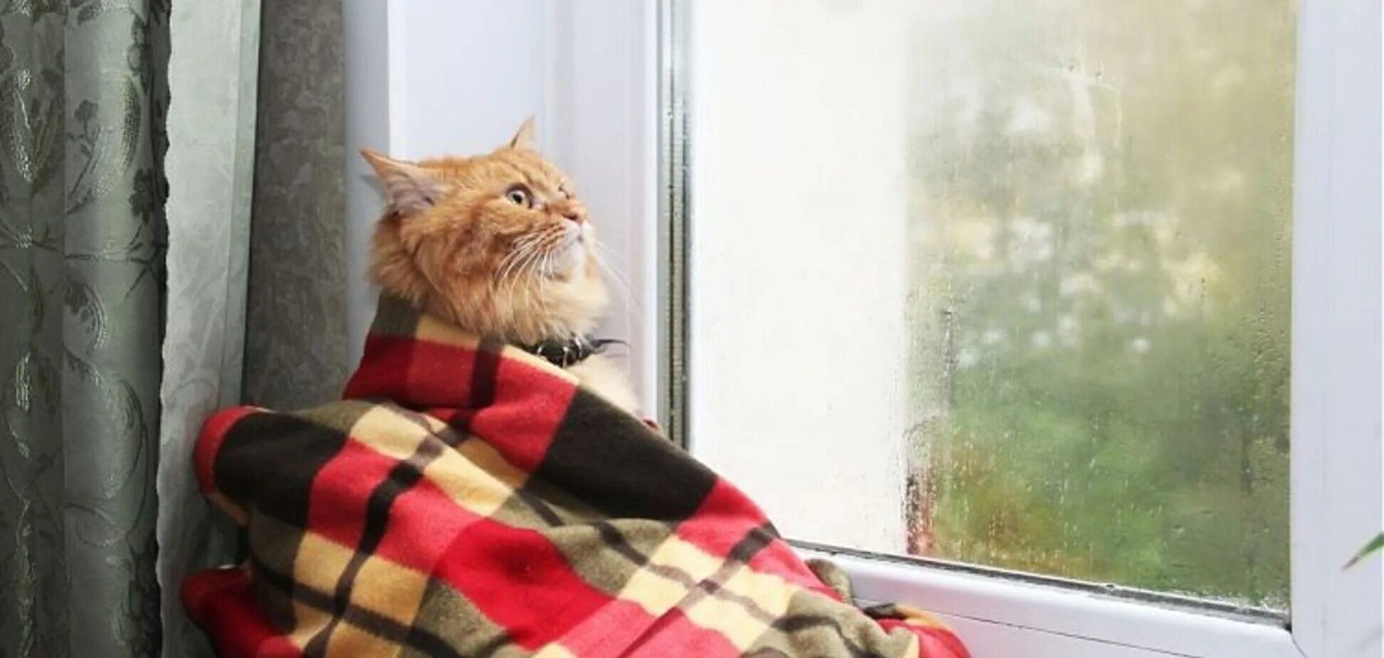 Немного теплее за окном
