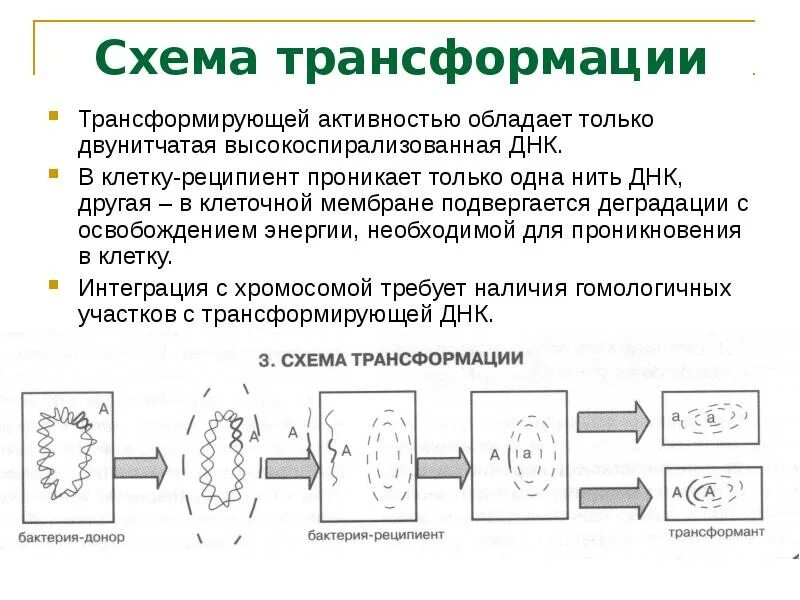 4 уровня трансформации. 4 уровня трансформации
