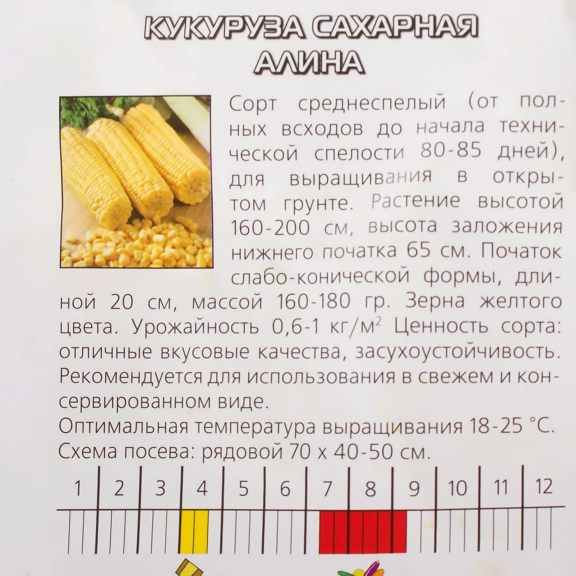 Семена кукурузы какую температуру. Размер кукурузы.