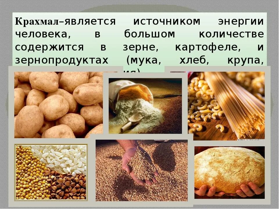 Крахмал и крахмалопродукты. Крахмальные растения. Источники крахмала в продуктах. Крахмал в растительных продуктах.