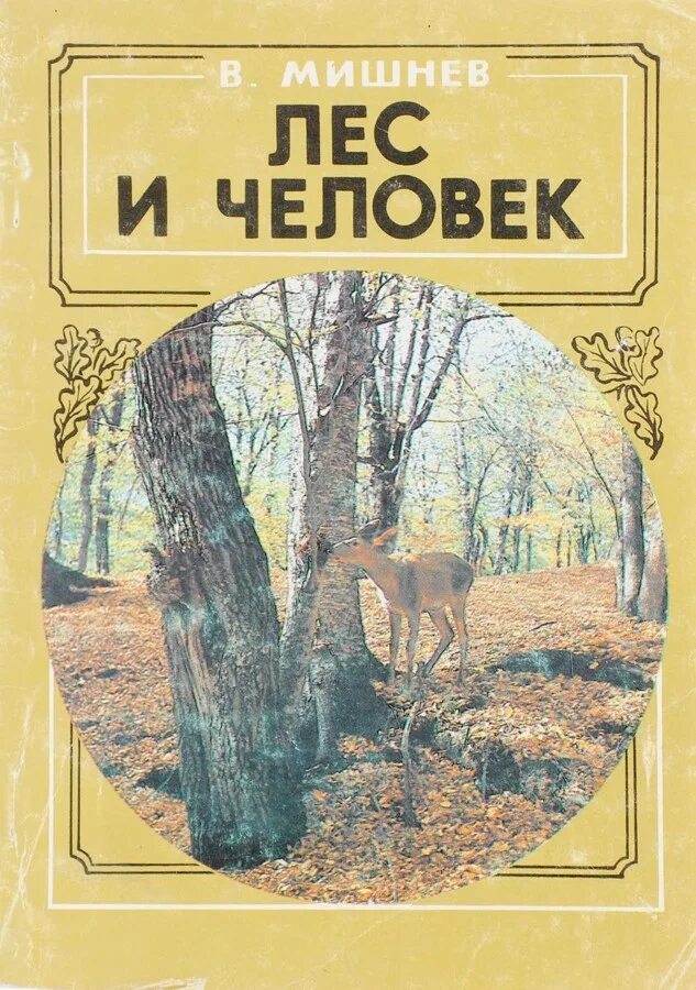 Книга в лесу. Книги о лесе для детей. Книга леса. Детские книги про лес.