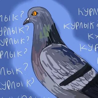 Узбиген курлык мурлык