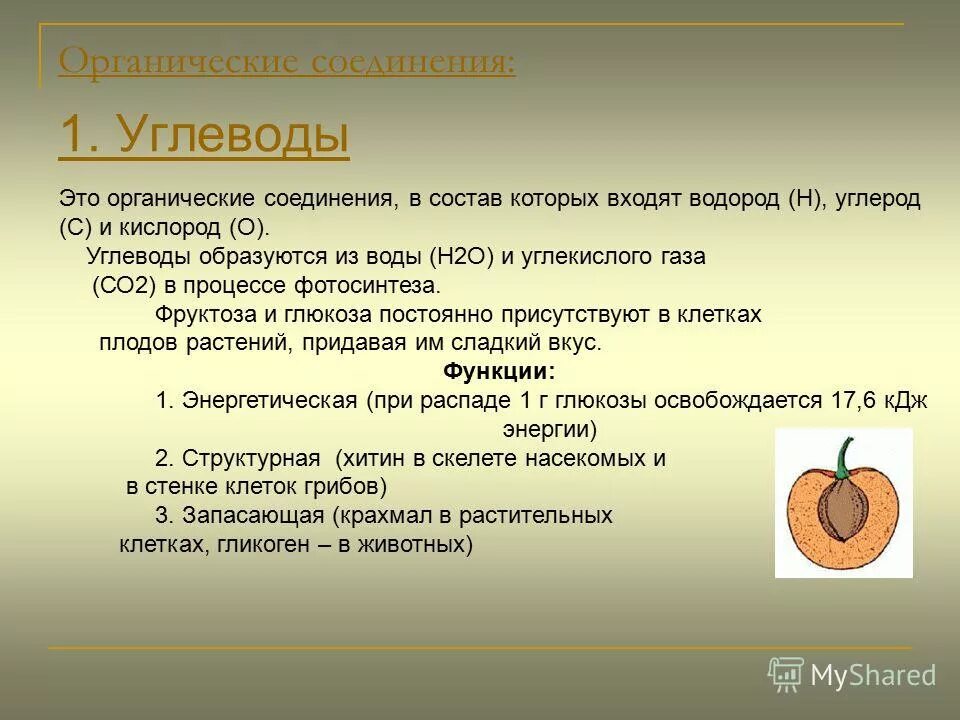 углеводы образуются. углеводы образуются. углеводы в процессе фотосинтеза образуются из:. углеводы образуются в природе в процессе. углеводы образуются в клетках растений в процессе.