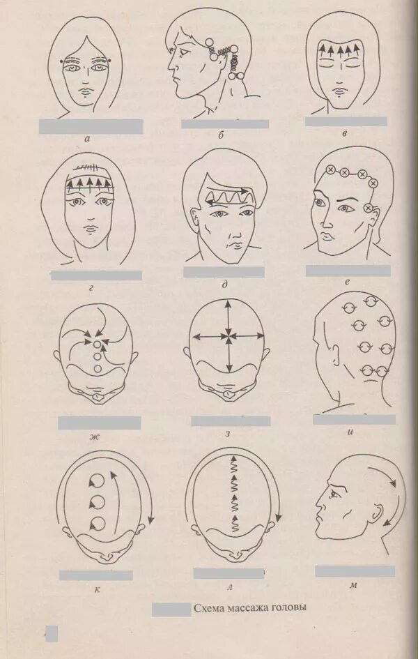 Затылок схема. Массаж волосистой части головы схемы. Массаж головы для роста волос схема. Схема выполнения массажа головы. Технология выполнения массажа головы.