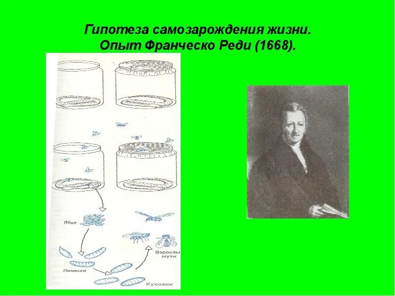 Эксперимент самозарождения жизни. Гипотеза самозарождения Франческо реди. Гипотеза самозарождения презентация. Опыт реди гипотеза самозарождения. Гипотеза самозарождения жизни опыт реди.