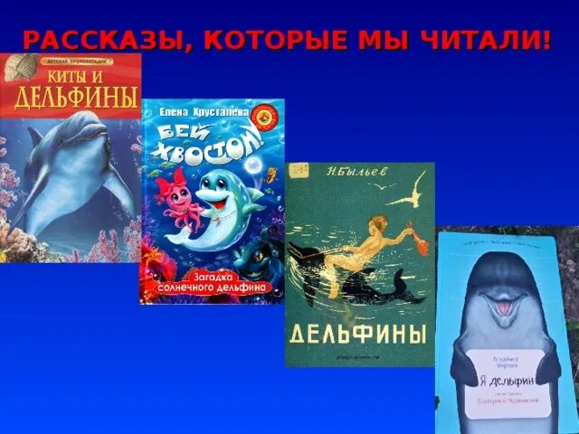 Книга тайна солнечного дельфина. Сказка Леночка Дельфин и Рождество. Першина Леночка Дельфин и Рождество. Леночка Дельфин и Рождество план.