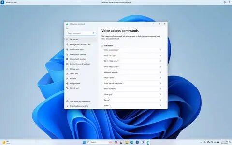 Voice access
