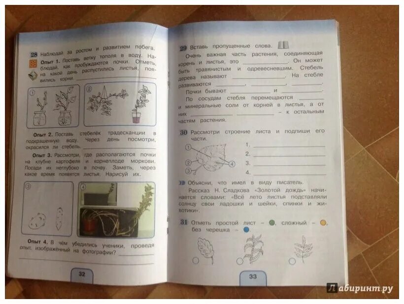 Поглазова 1 класс рабочая тетрадь часть 2. ТПО окружающий мир 2 класс 1 часть. ТПО окружающий мир 1 класс 2 часть Поглазова. Рабочая тетрадь Поглазова 2 класс 2 часть.