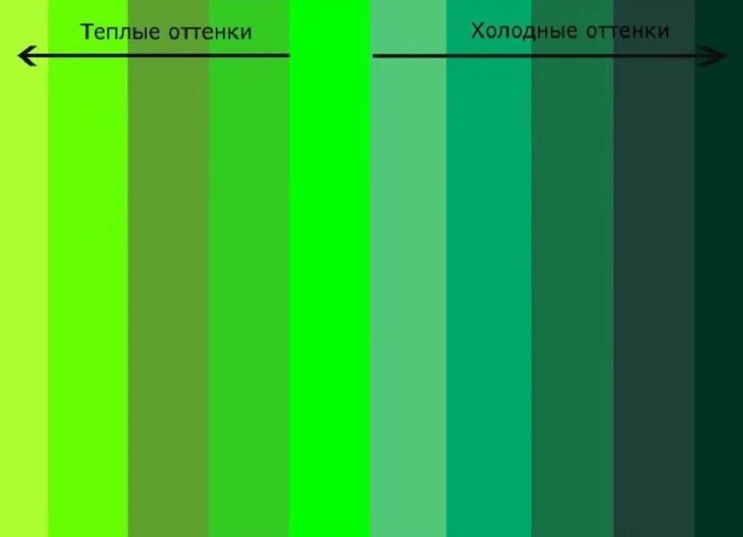 Green types. Оттенки зеленого. Оттенки зелёного цвета. Теплые оттенки зеленого. Холодные оттенки зеленого.