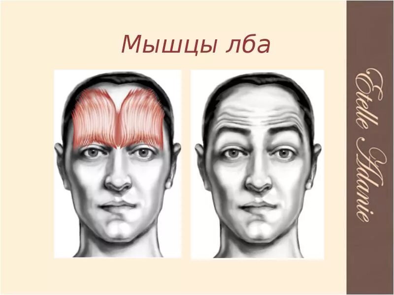 Внешне напряжен