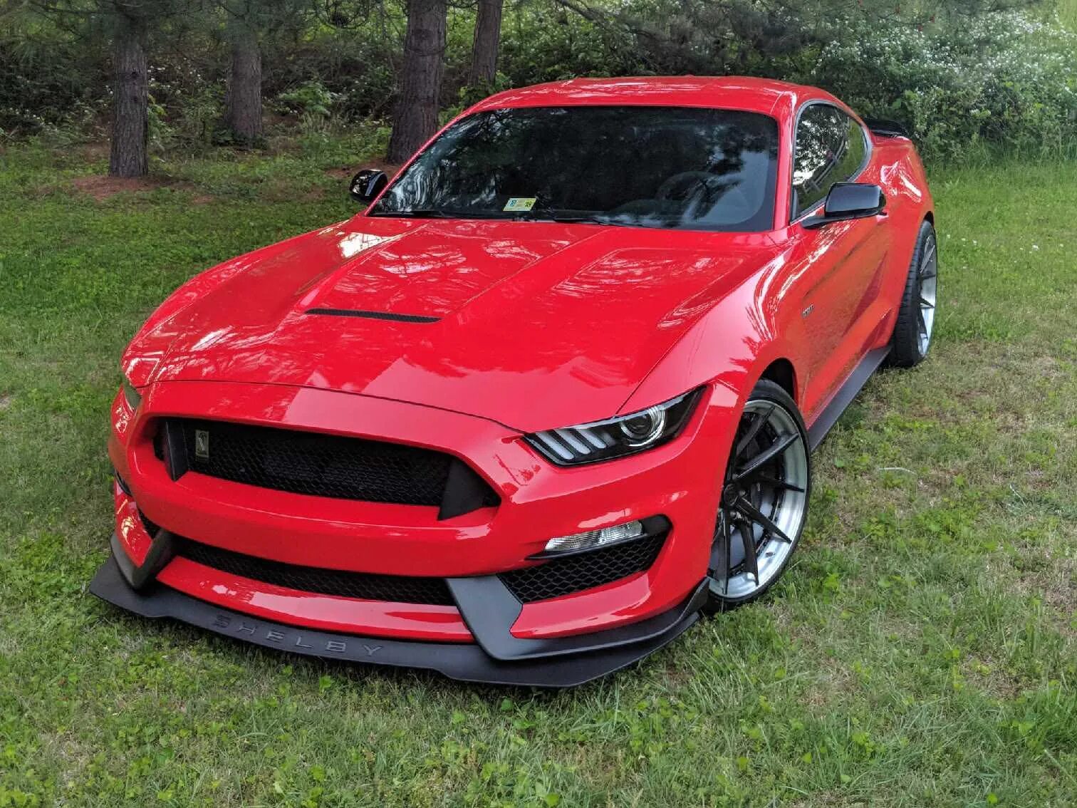 Форд мустанг красный. Ford Mustang gt350 Red. Форд Мустанг ГТ 350 красный. Форд Мустанг gt красный. Ford Mustang Shelby gt350.