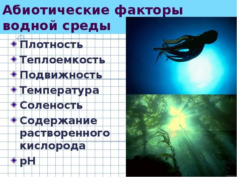 Водная среда плотность среды. Характеристика водной среды. Колебания температуры в водной среде. Внешнее строение рыбы особенности строения. Перечислите абиотические факторы водной среды.