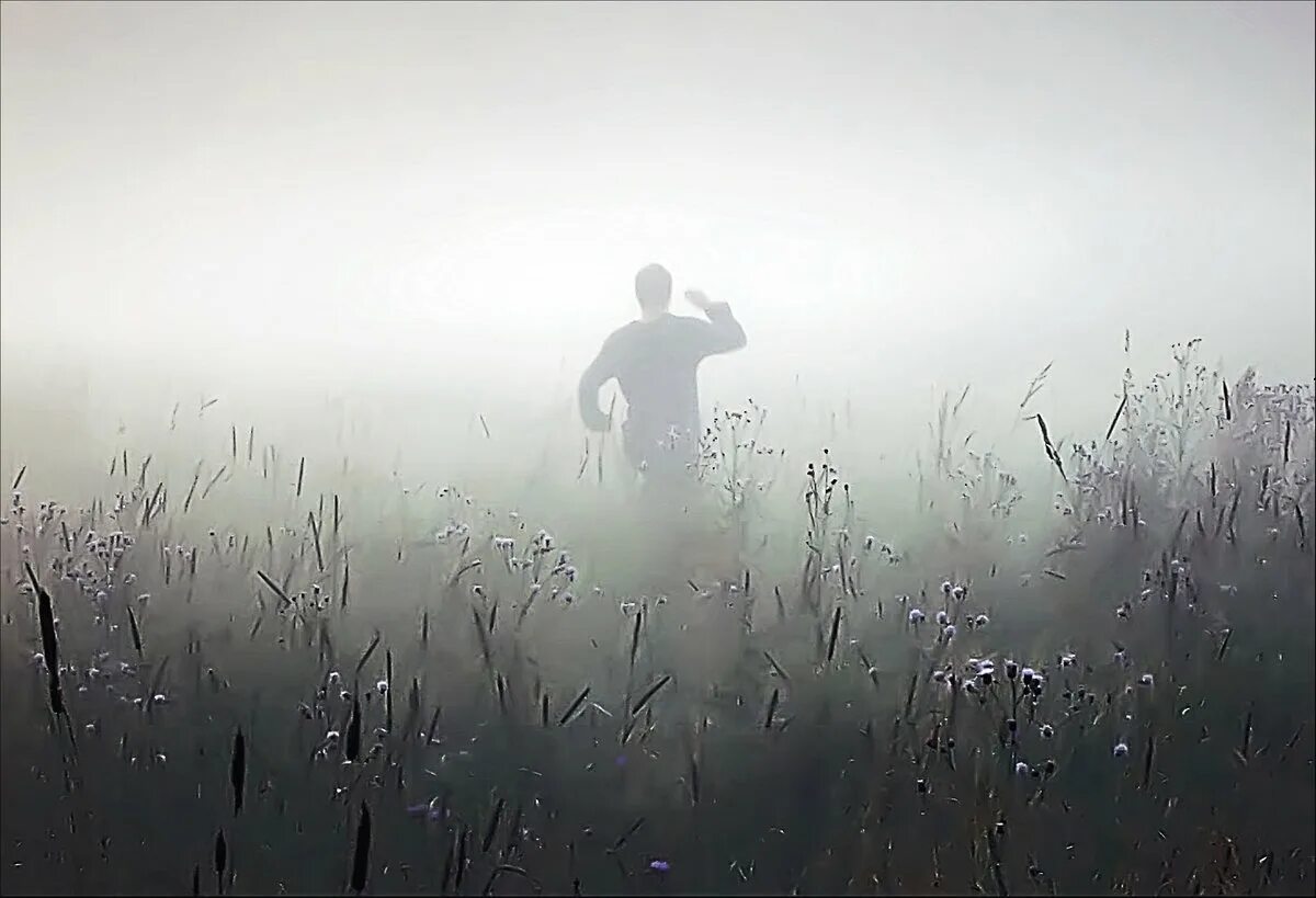 Песня туман сердце словно капля яда. Человек в тумане. Силуэт в тумане. Силуэт человека в тумане. Туман.