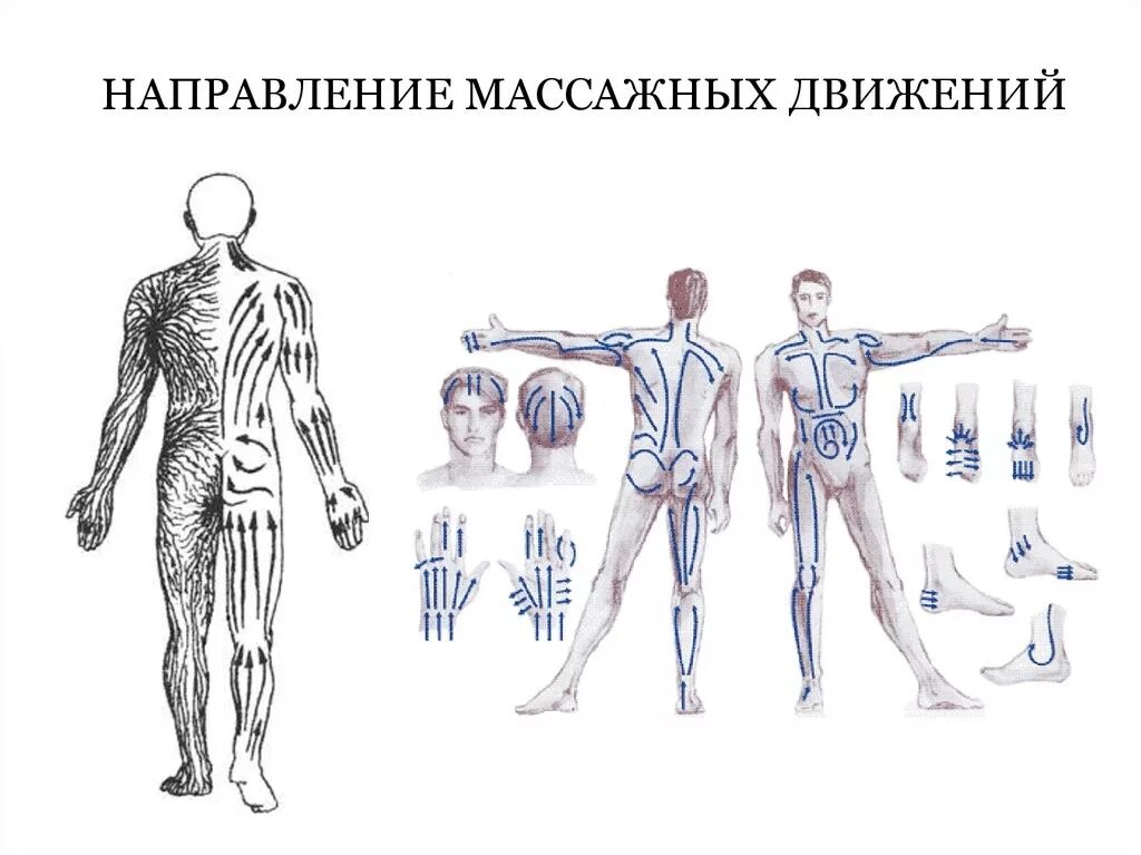 Направление массажных движений при массаже. Схема направления массажных движений. Массаж живота схема направления массажных движений. Лимфодренажный массаж схема. Направление движений при массаже схема.