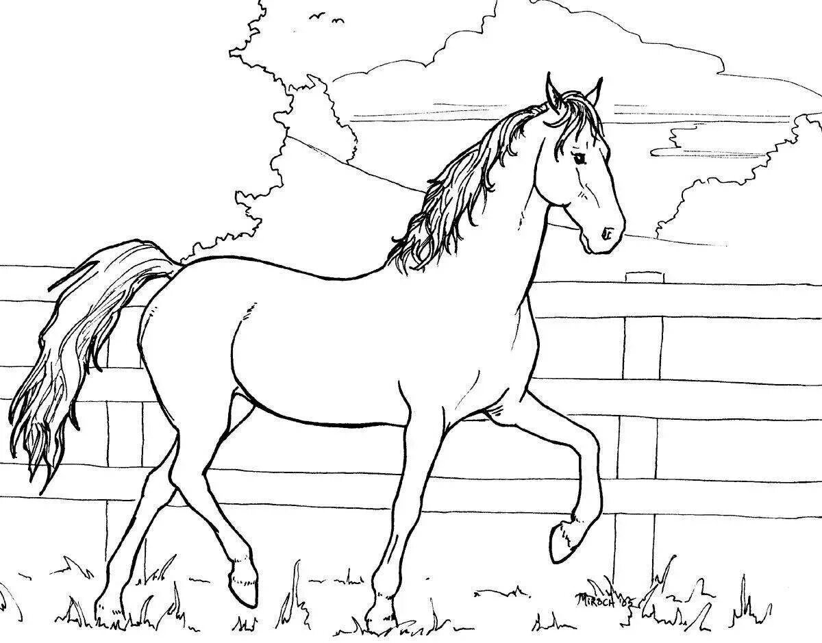 Раскраска. Лошади. Лошадь для раскрашивания. Лошадь раскраска для детей. Лошат Раскраскин.