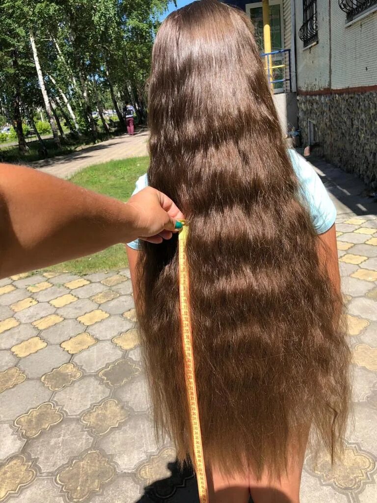Продать волосы иркутск. Срезанные волосы. Продать волосы иркутск. Продать волосы иркутск. Belli capelli хвост из натуральных волос.