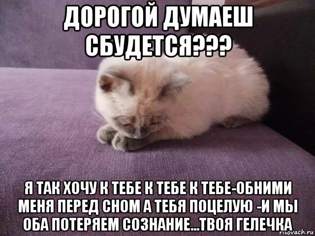 Целую перед сном. Обнимаю тебя перед сном. целую тебя перед сном.