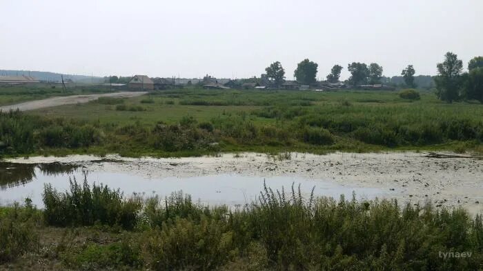 Село болотное. Ача Болотнинский район. Село Болотное Новосибирская область. Ача Новосибирская область. Село ача.