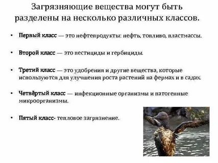 Какое загрязняющее вещество