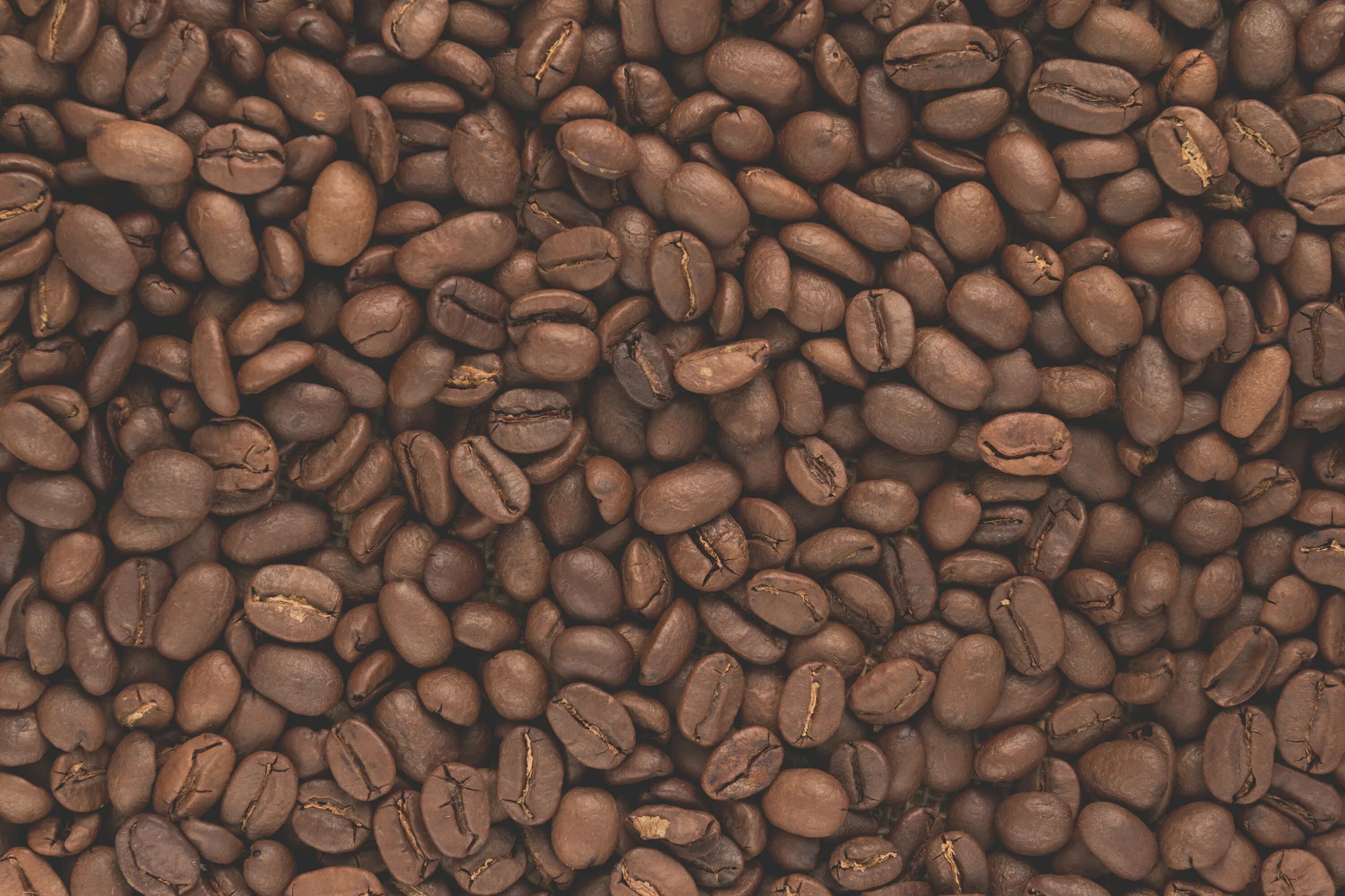 Кофейные зерна. Кофе в зернах. Продается пшеница, ячмень с вагонами. Овсянка семена. Кофе в зернах.