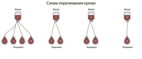 Универсальные доноры люди с