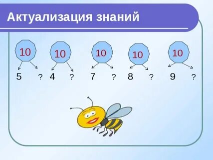 Знания 5