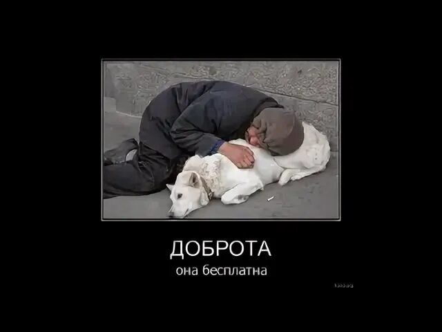 Спаси доброта спасет доброта песня