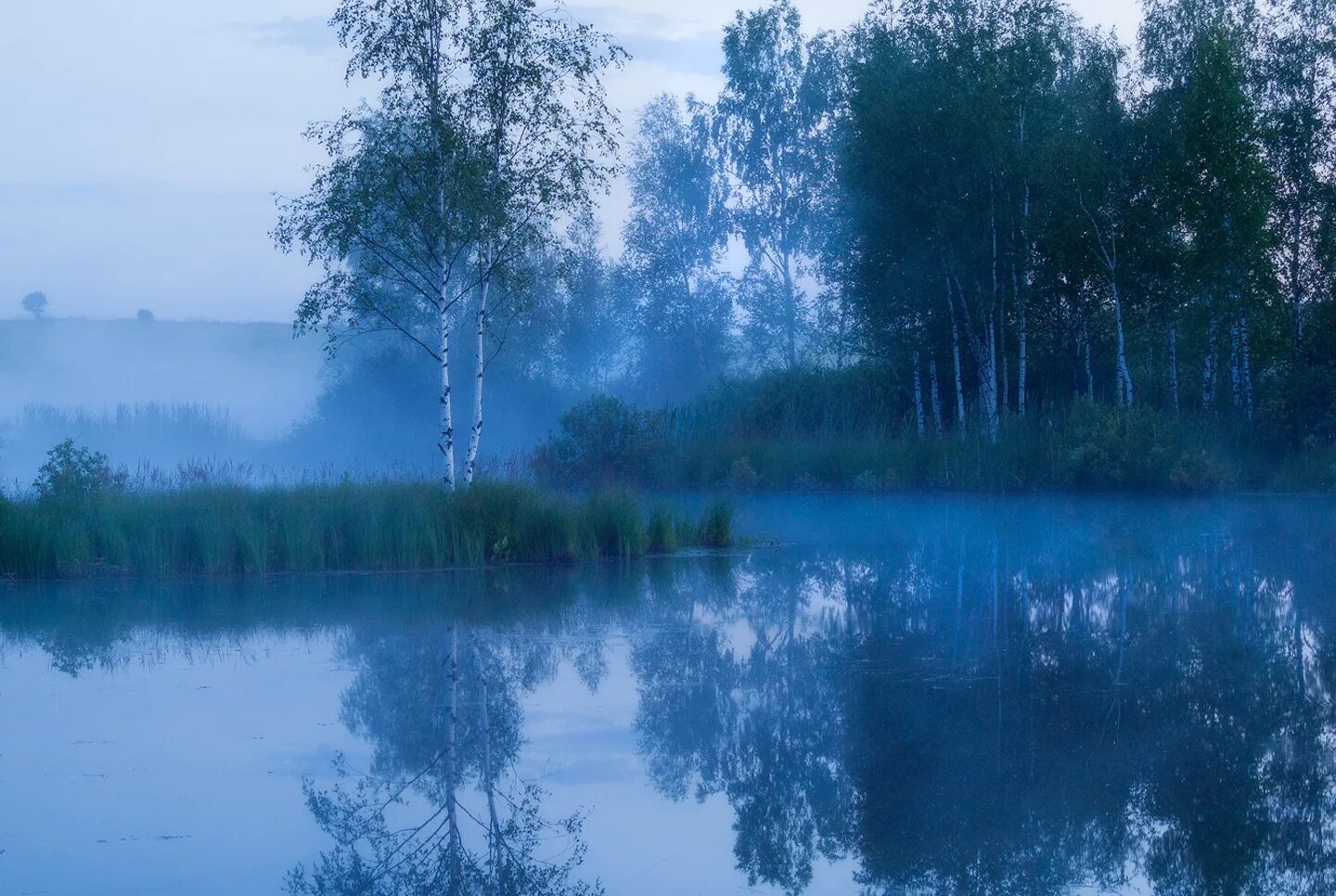 Стелющийся туман. За туманной синью отдаленных. Озеро туман хмао. Густой синий туман. За синими туманами где плещется река.