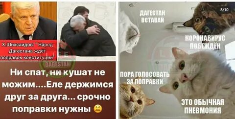 Город глупов телеграм телеграмм канал