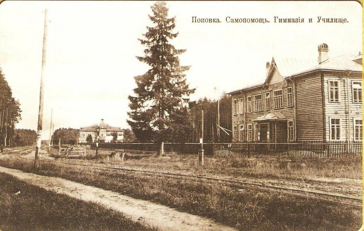 Жд станция поповка ленинградская область. Поповка красный бор. Станция поповка красный бор. Гимназия поповка. Станция поповка красный бор.