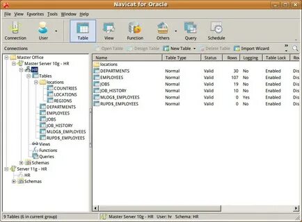 Oracle file