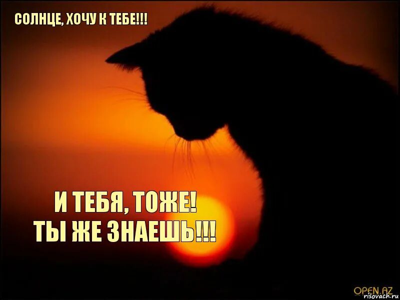 Очень скучаю солнышко. Солнышко я скучаю по тебе. Солнышко я очень скучаю по тебе. Солнышко моё. Скучаю по солнышку.