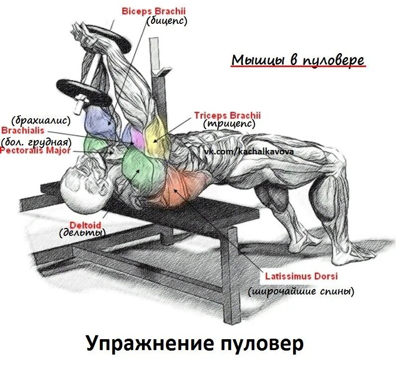 Пулл бэк