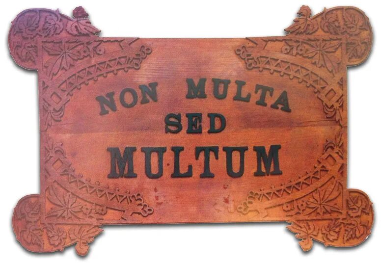 Multum non