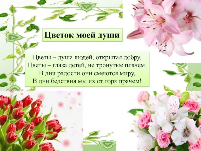 Красивые нежные картины. Цветущая душа стихи. Фотосессия с белой сиренью. Стихи про цветы красивые. Пусть душа цветет.