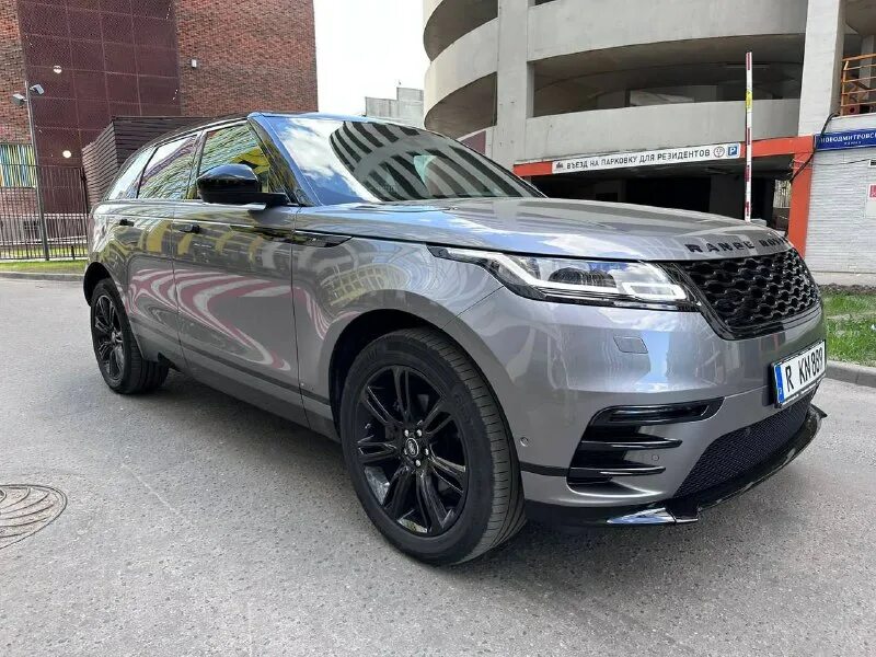 Tiger drive. Tiger drive. Tiger drive. Lazy tiger надпись. Tiger drive.