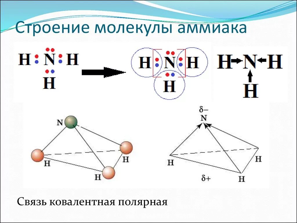 Nh 3 связь. Строение молекулы аммиака структурная формула. Структурное строение аммиака. Строение молекулы аммиака структурная. Изобразите схему образования химической связи в молекуле аммиака.