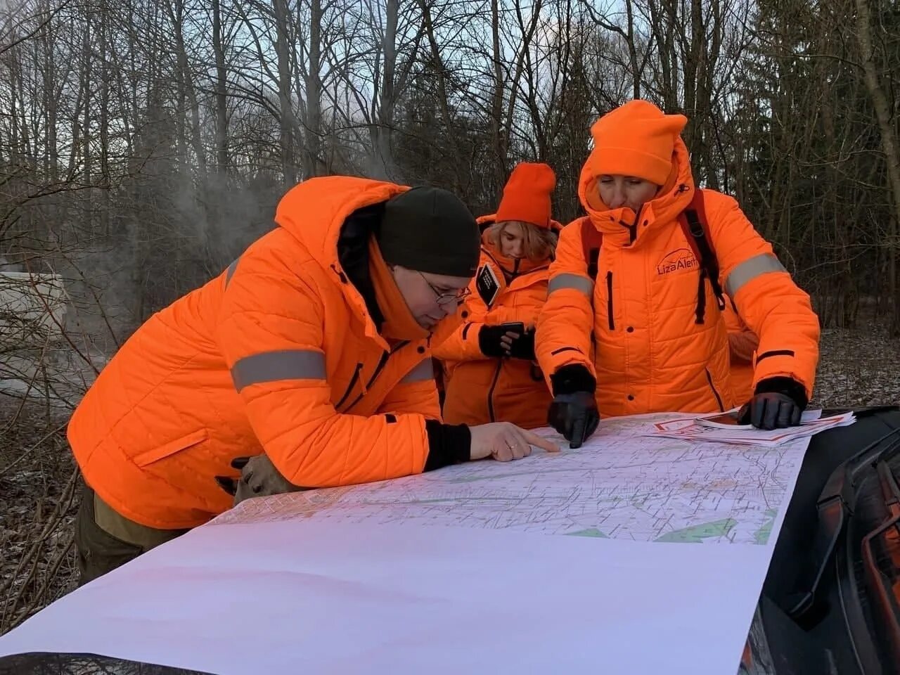 Добровольческий поисково-спасательный отряд «лиза алерт крым». Волонтеры ищут пропавших людей. Лиза алерт волонтеры. Поисковый отряд лиза алерт. Алерт волонтеры.